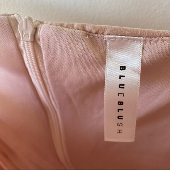 BlueBlush small embroidered floral rose mini dress - Picture 4 of 5